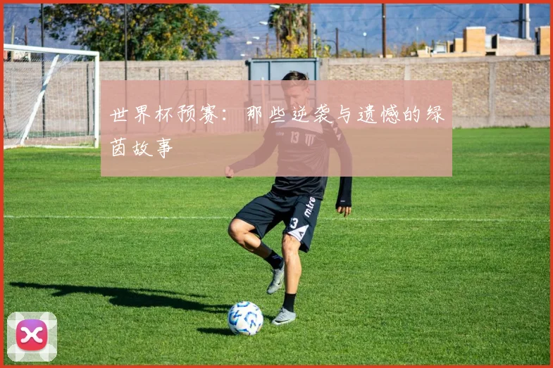 世界杯预赛:那些逆袭与遗憾的绿茵故事