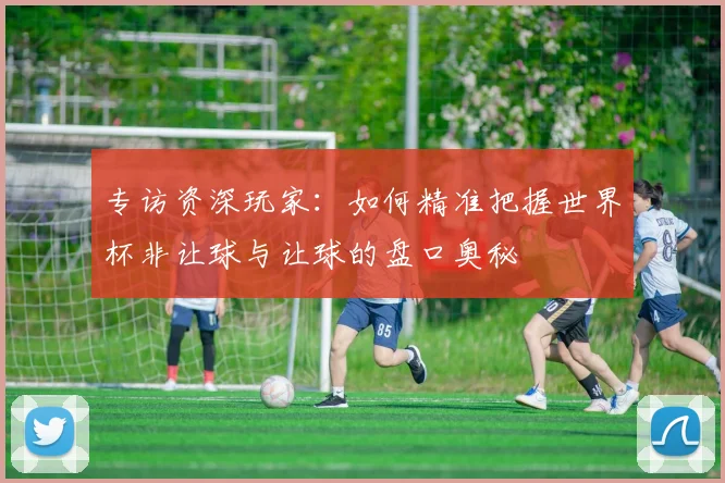 专访资深玩家:如何精准把握世界杯非让球与让球的盘口奥秘