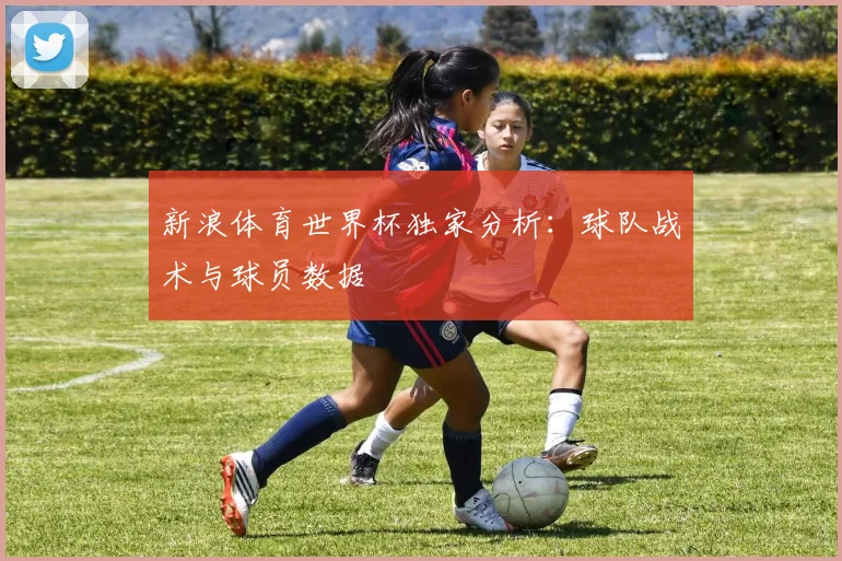 新浪体育世界杯独家分析：球队战术与球员数据