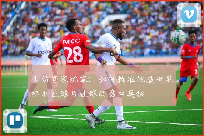 专访资深玩家:如何精准把握世界杯非让球与让球的盘口奥秘