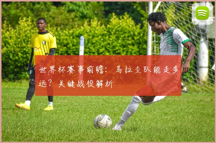 世界杯赛事前瞻：乌拉圭队能走多远？关键战役解析