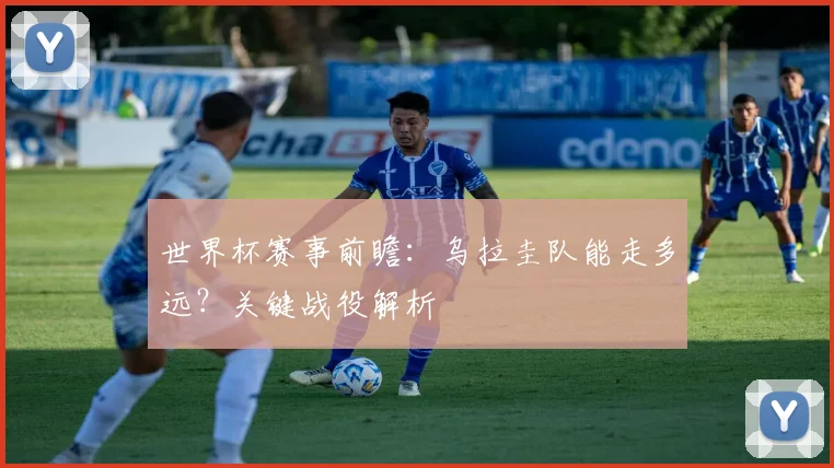 世界杯赛事前瞻:乌拉圭队能走多远?关键战役解析