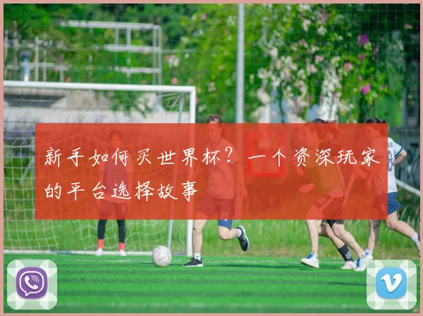新手如何买世界杯？一个资深玩家的平台选择故事