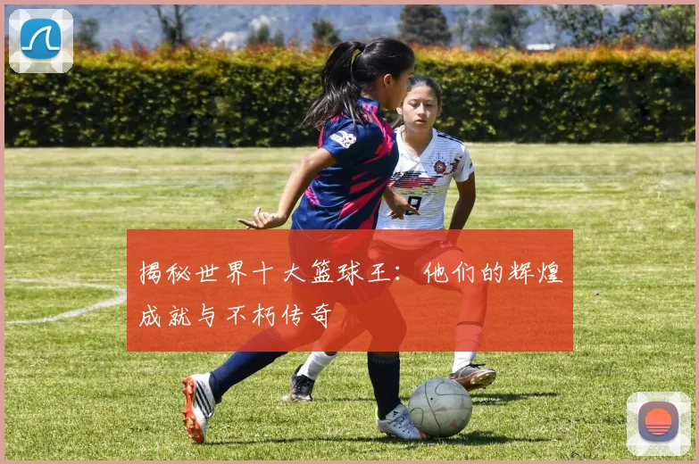 揭秘世界十大篮球王：他们的辉煌成就与不朽传奇