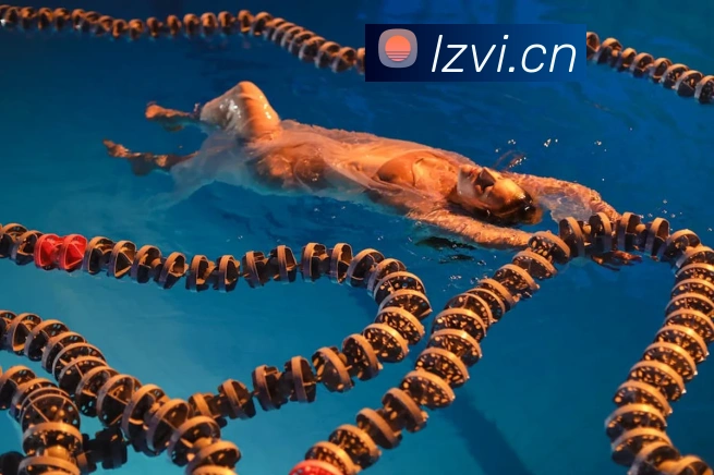 九游体育官方平台APP 封面图